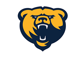 Franklin College - Volleyball
